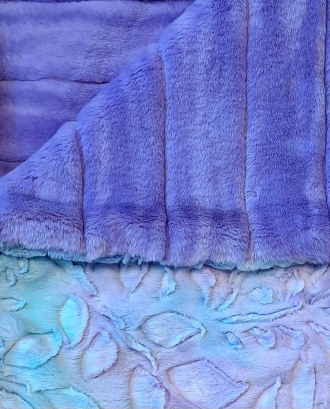 Sorbet Poppy/Bellflower Wave Sydney