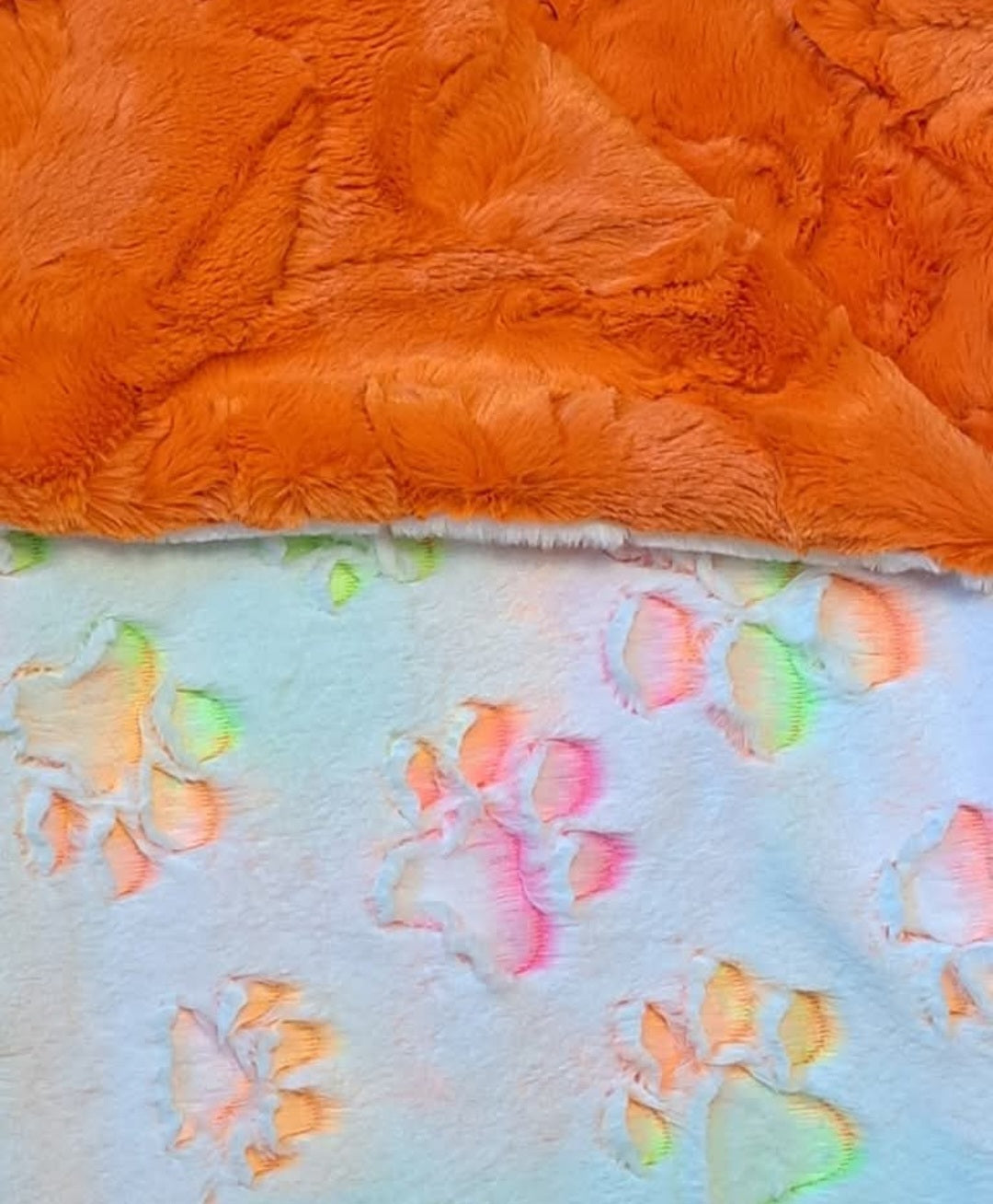 Highlighter Prism Paws/Tangerine Hide